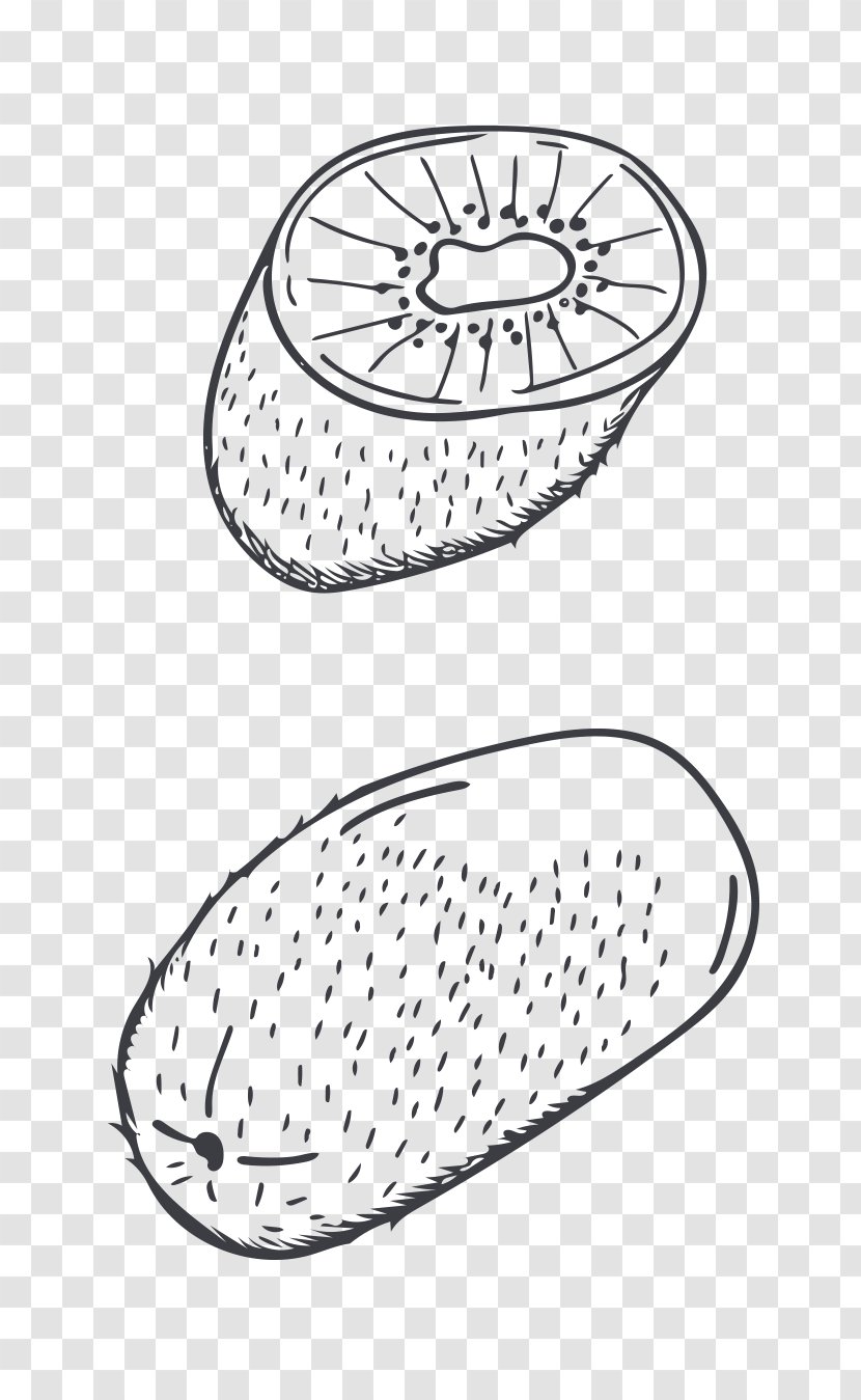 Kiwifruit Cartoon Drawing - Designer - Hand-painted Kiwi Fruit Transparent PNG
