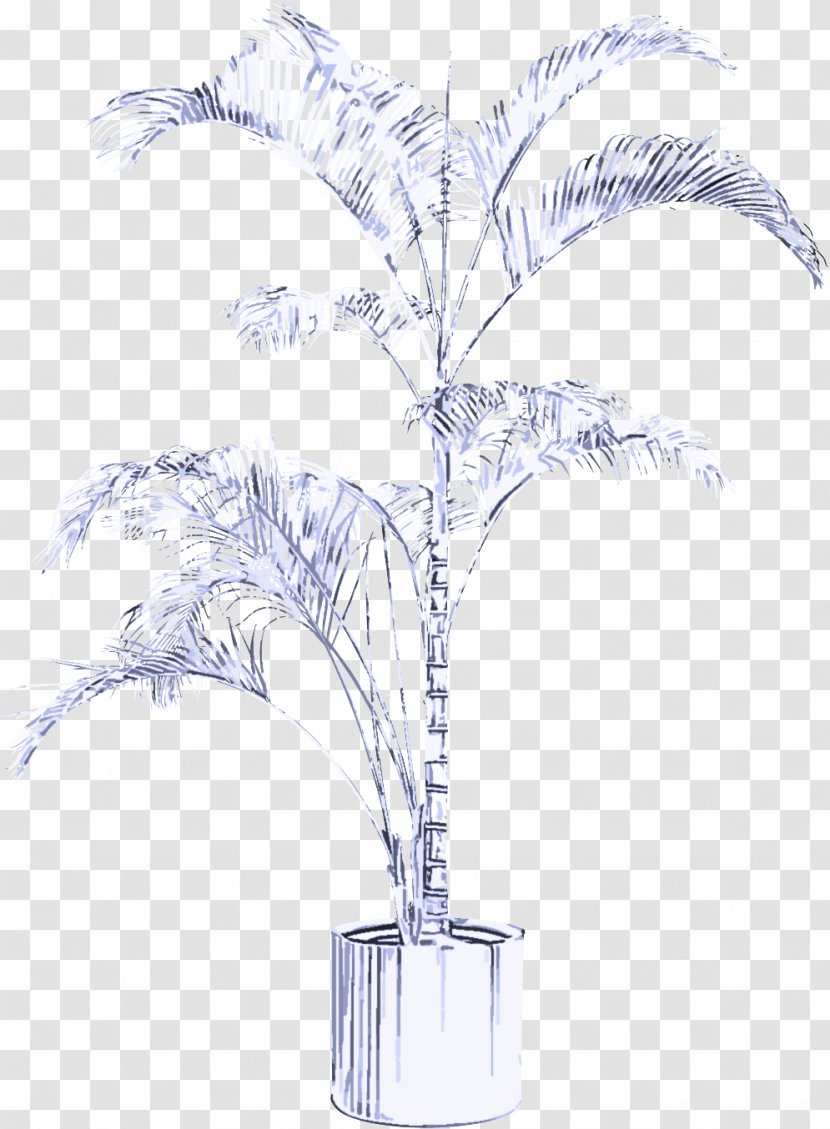 Palm Tree - Woody Plant - Vase Twig Transparent PNG
