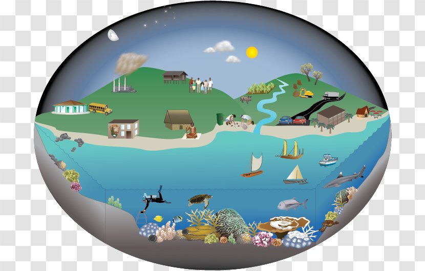 Coral Reef Food Web Water Resources Ocean Chain - Cycle - Natural Environment Transparent PNG