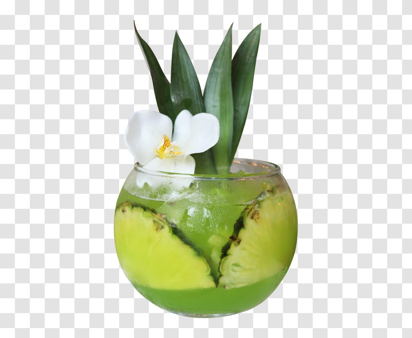 Cocktail Garnish Caipirinha Coconut Water Drink Pineapple - Fresh Cucumber Slices Hq Pictures Transparent PNG