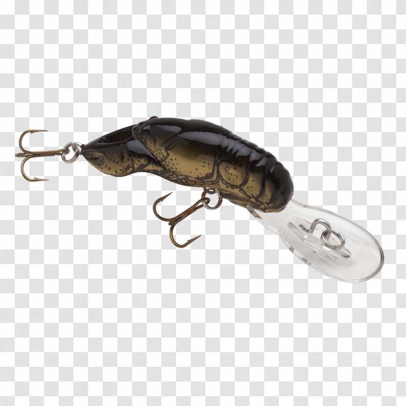Spoon Lure Insect Product Design Transparent PNG