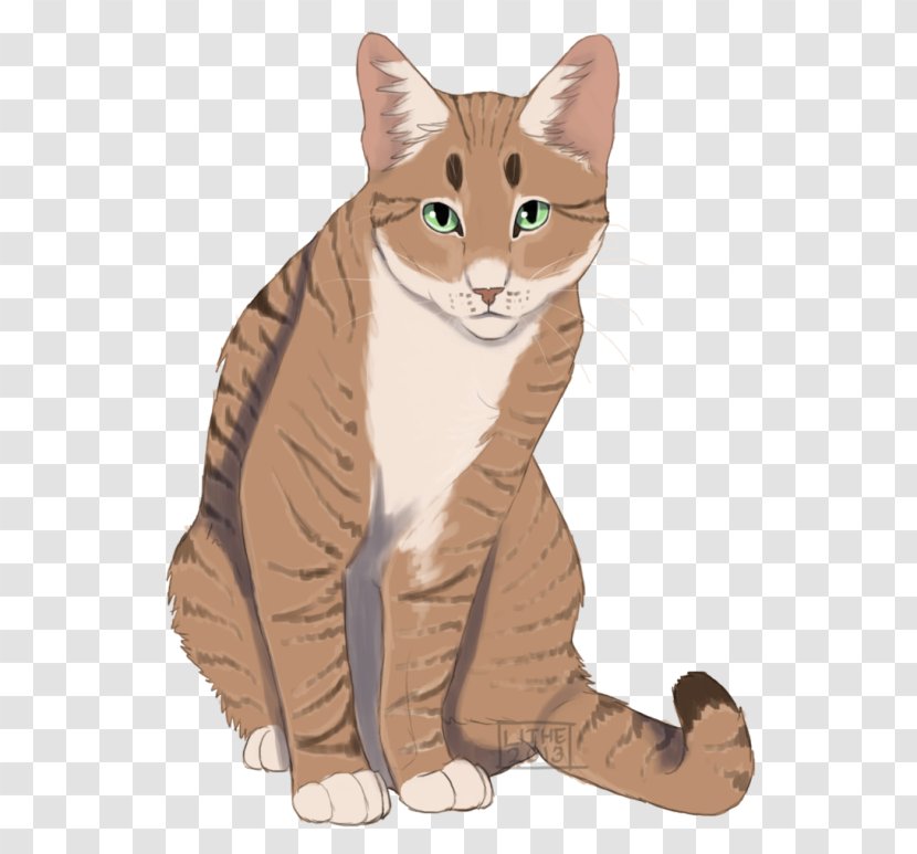 Cat Warriors ThunderClan Hazeltail Wikia - Vertebrate Transparent PNG