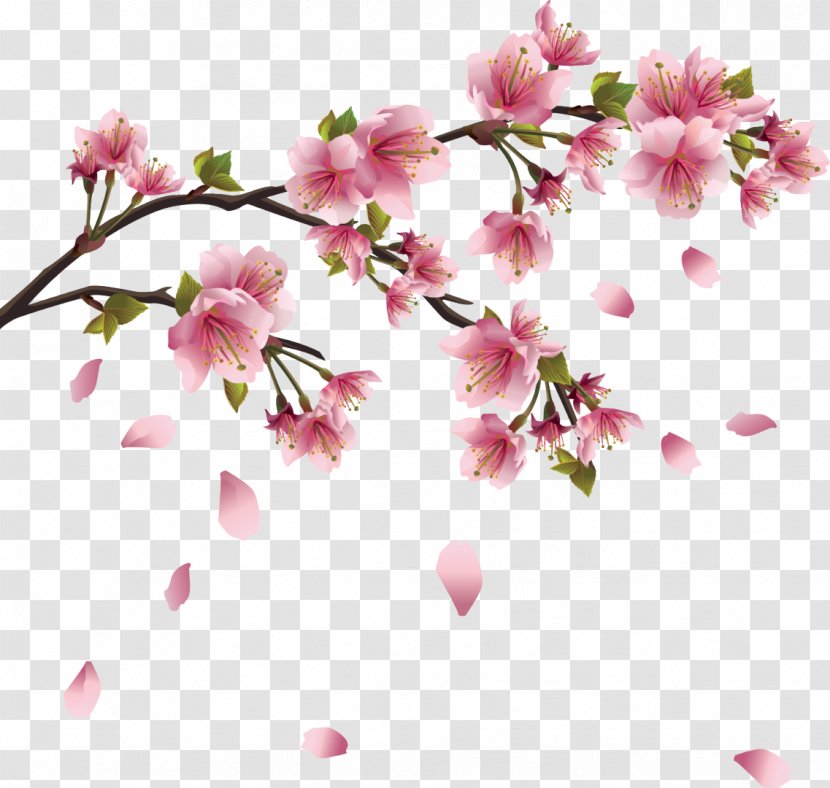 Cherry Blossom Clip Art - Yoshino - Falling Blossoms Transparent PNG