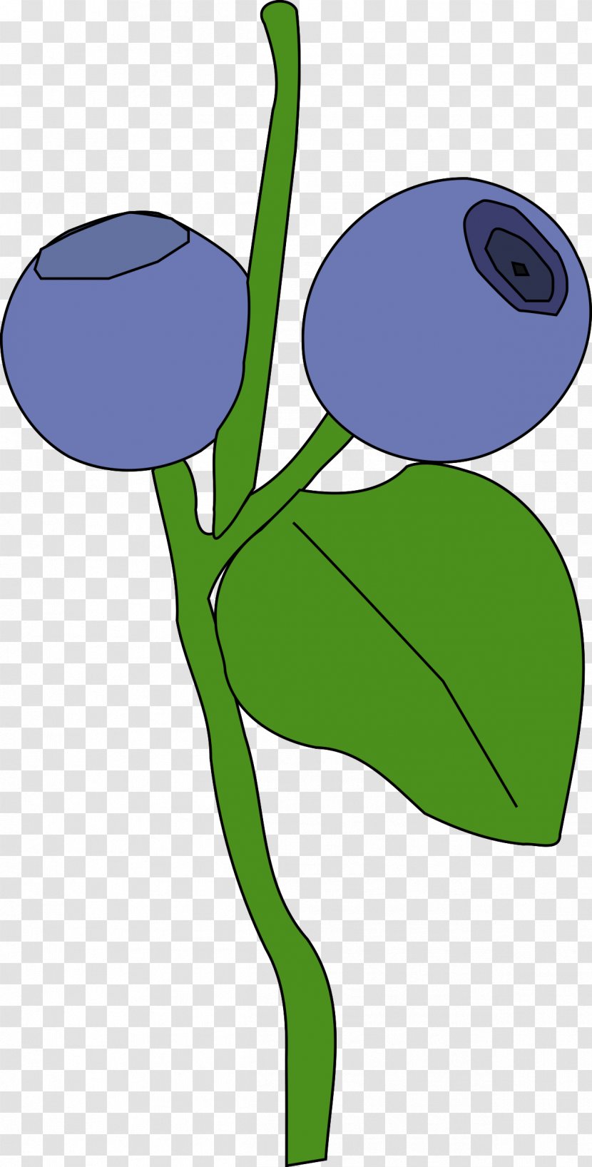 Blueberry Clip Art - Leaf - Blueberries Transparent PNG