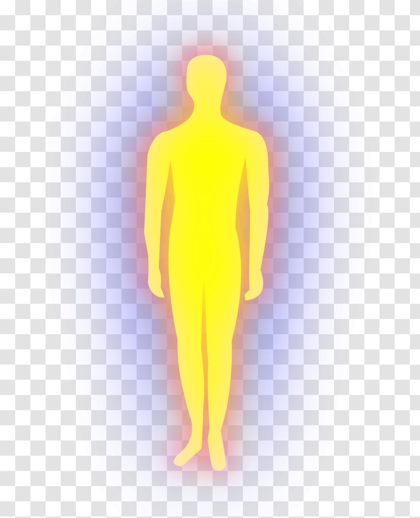 Human sketch, Human body Female body shape Homo sapiens Woman , Token  transparent background PNG clipart