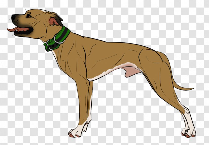Dog Breed Italian Greyhound Azawakh Leash - Tail - American Bully Kennel Logos Transparent PNG