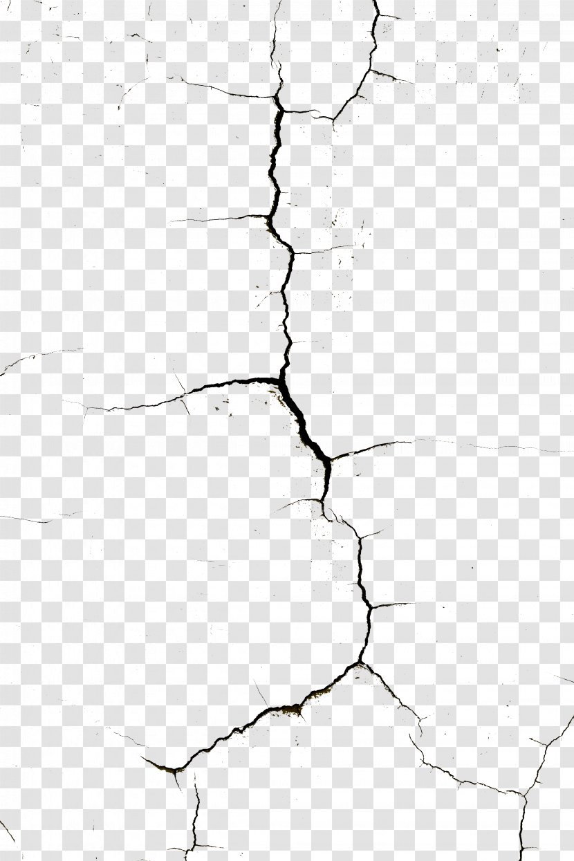 Wall Pattern - Twig - Cracks Transparent PNG