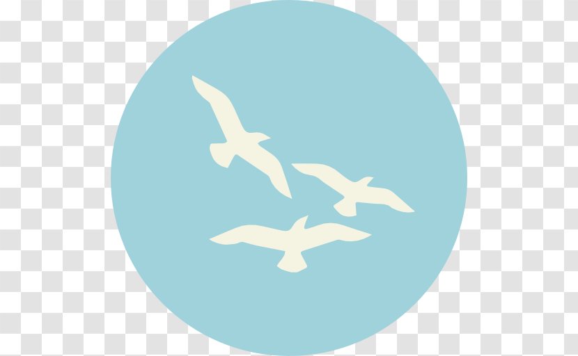 Bird Wildlife Animal - Blue Transparent PNG