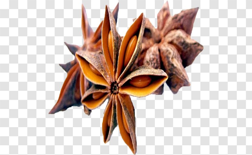 Star Anise Organic Food Spice - Flavor Transparent PNG