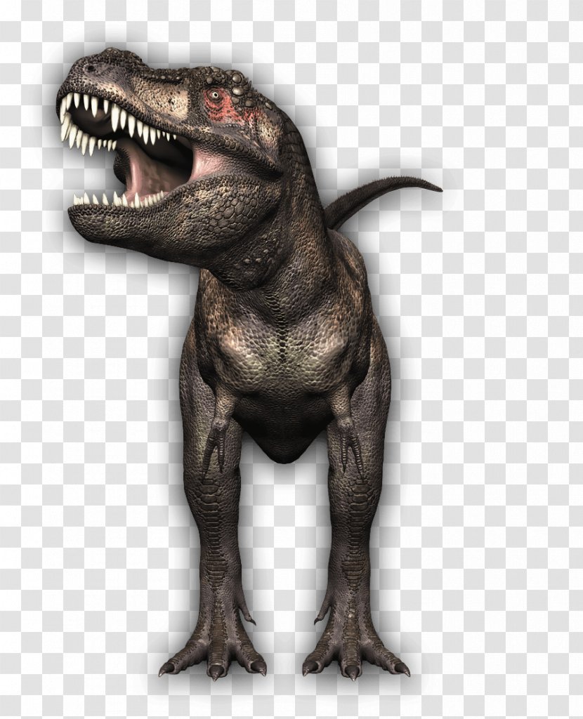 Carnivore Dinosaur Stock Photography Drawing Clip Art - Tyrannosaurus Transparent PNG