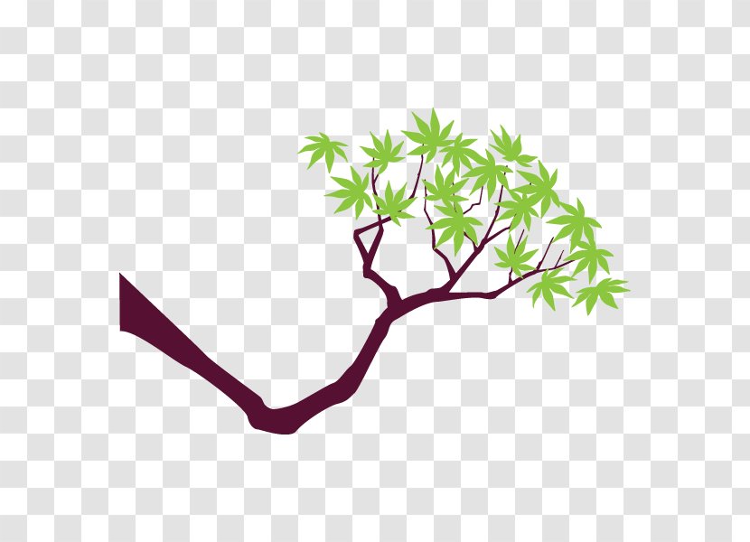 Clip Art Leaf Plant Stem Line - Organism Transparent PNG