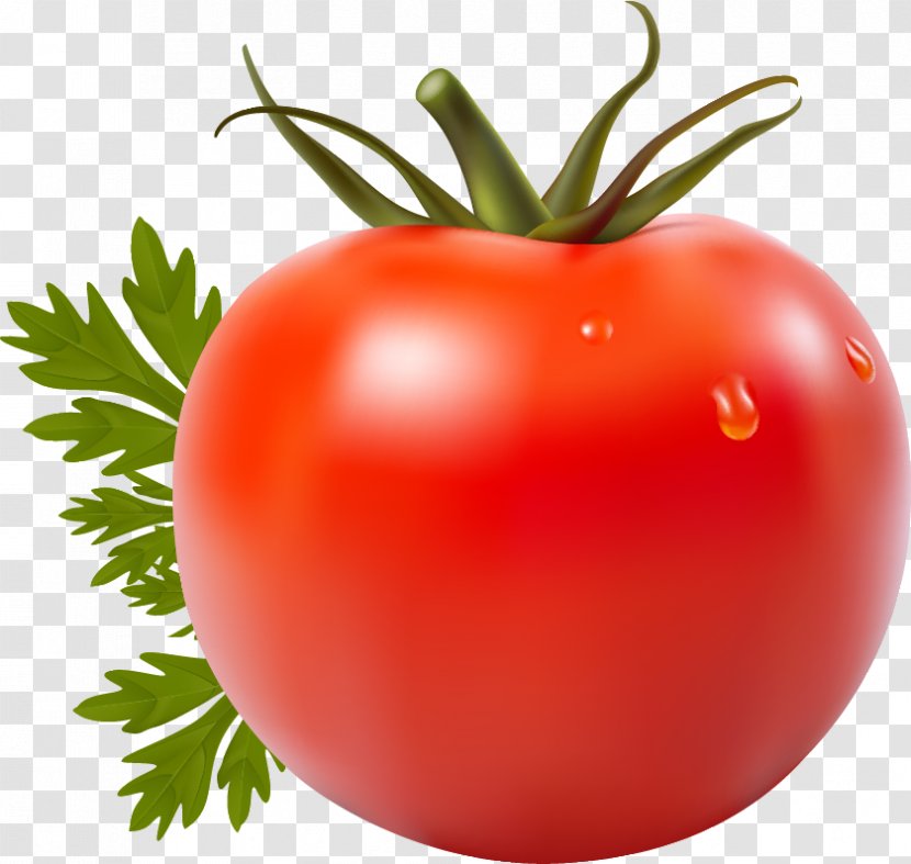 Tomato Juice San Marzano Vegetable Cherry - Plum Transparent PNG