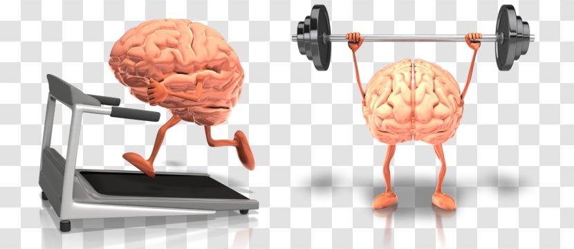 Brain Health Exercise Food Fish Oil - Frame Transparent PNG