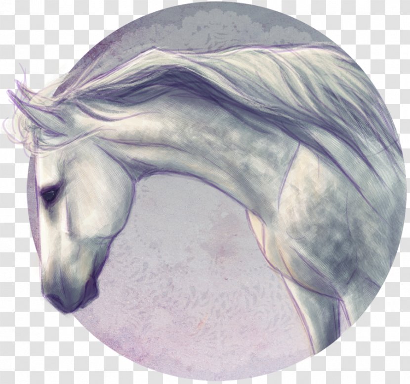 Mustang Snout Unicorn Stallion /m/02csf - Fictional Character Transparent PNG