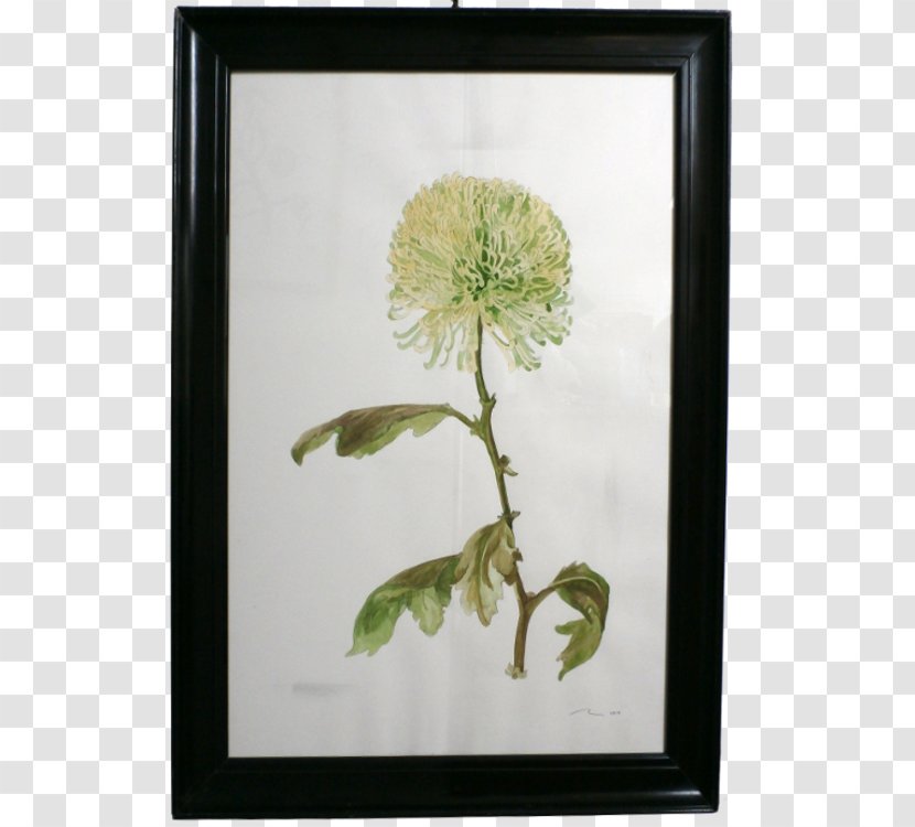 Flower Floral Design Art Watercolor Painting Plant - Flowering - Chrysanthemum Transparent PNG