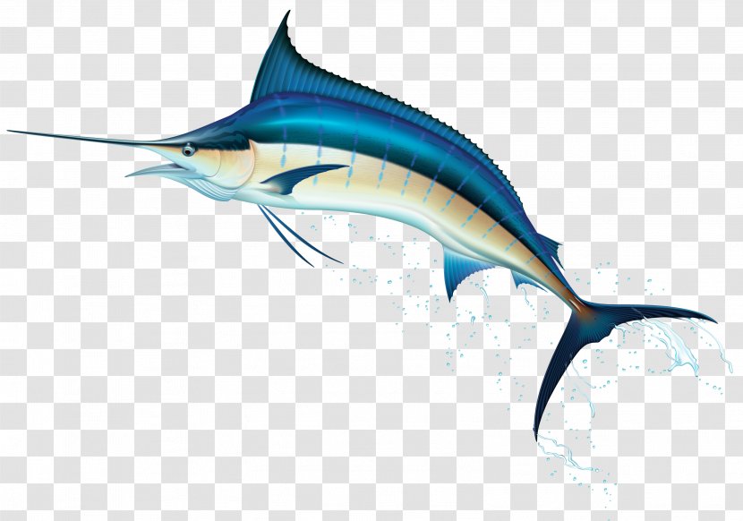 Swordfish Clip Art - Perch Like Fish - Under Water Transparent PNG