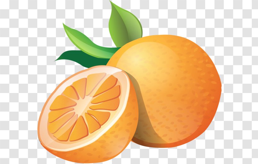 Orange Fruit Clip Art - Superfood Transparent PNG