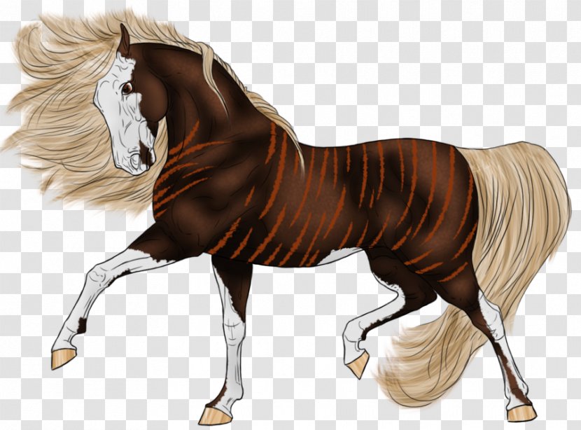 Mustang Mane Stallion Pony Mare - Horse Breeding Transparent PNG