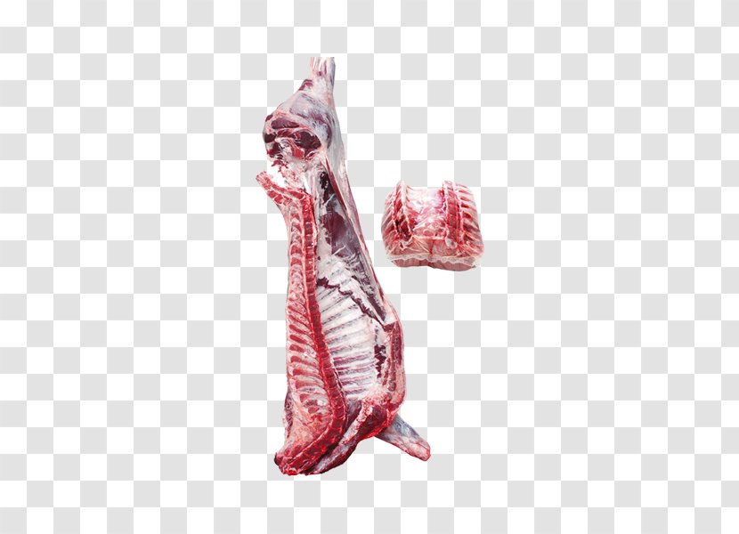 Calf Lamb And Mutton Meat Sheep Food - Frame Transparent PNG