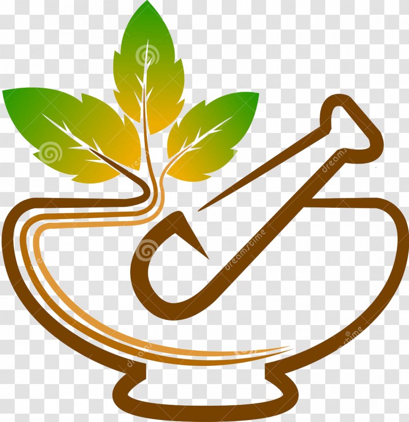 Vector Graphics Ayurveda Herb Krishna Park Resort Illustration - Herbs Transparent PNG