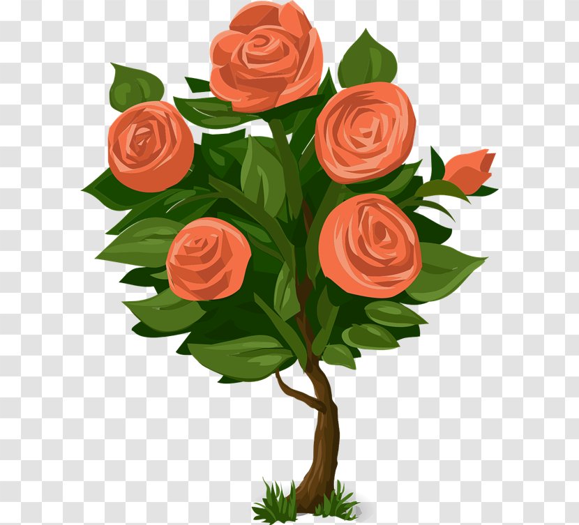 Rose Plant Shrub Flower Clip Art - Family - Beautiful Cliparts Transparent PNG