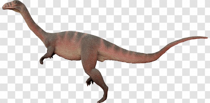 Plateosaurus Anchisaurus Velociraptor Chirostenotes Dinosaur - Tail Transparent PNG