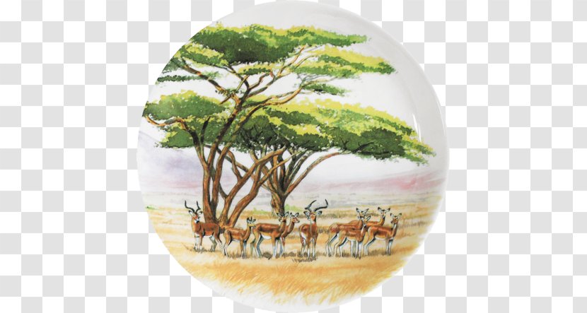 Savanna Tableware Couch Plate Safari - Bowl Of Cereal Transparent PNG