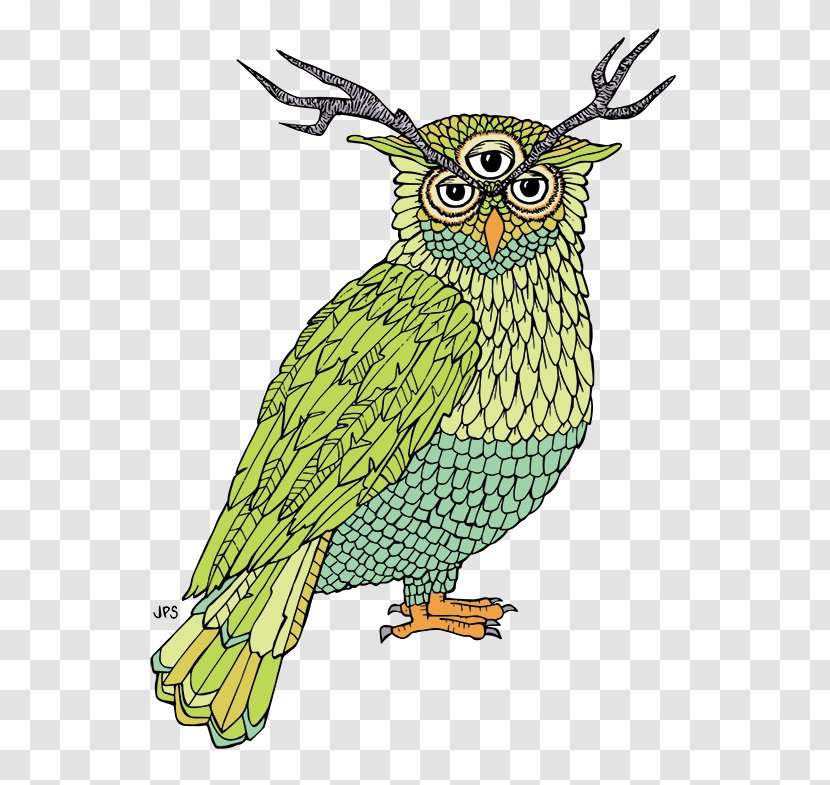 Owl Beak Coloring Book Feather Transparent PNG