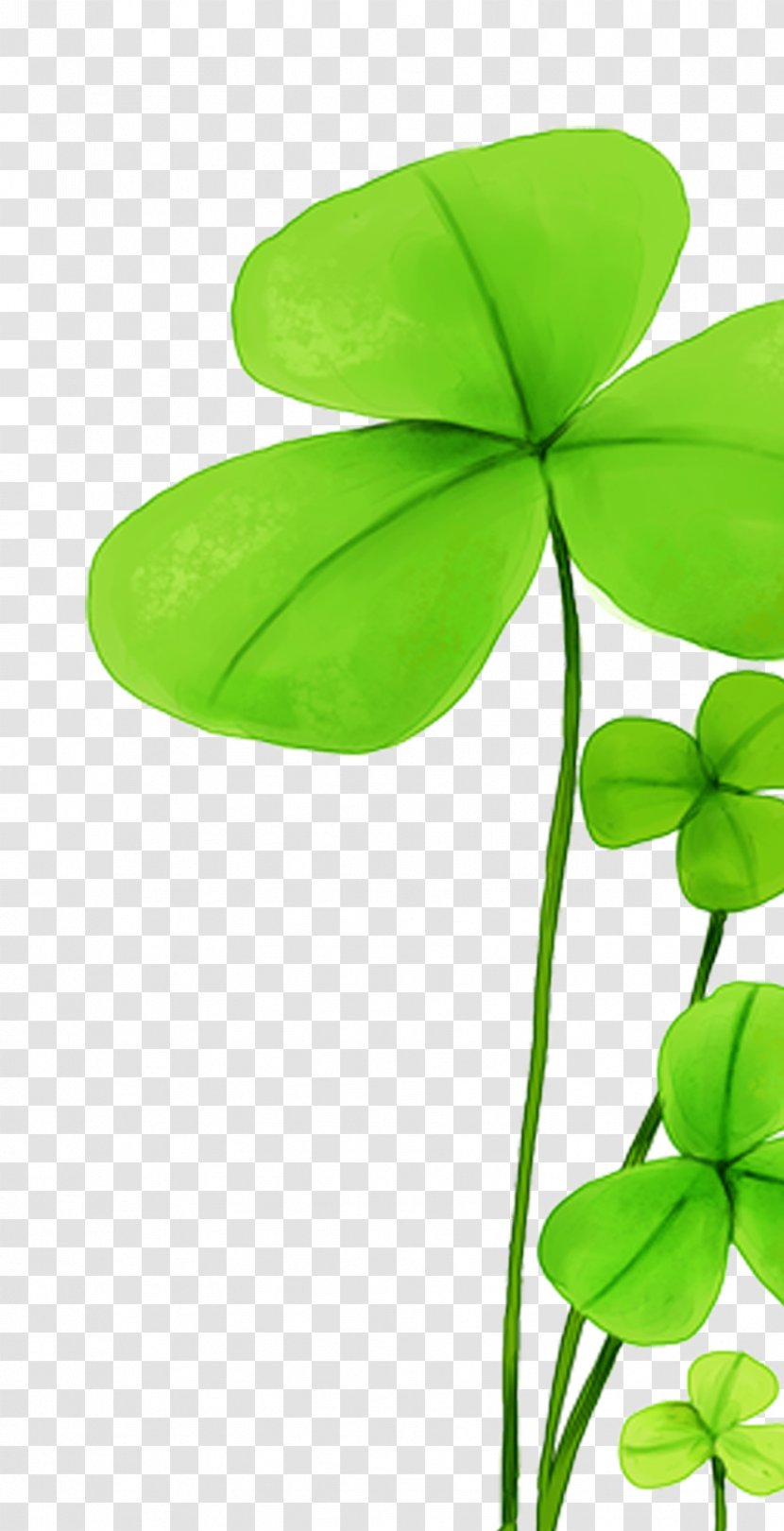 Four-leaf Clover - Plant Stem - HD Clips Transparent PNG