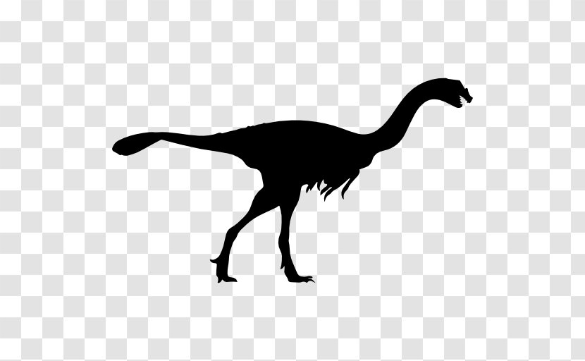 Velociraptor Gigantoraptor Citipati Tyrannosaurus Pterodactyls - Dinosaur Vector Transparent PNG
