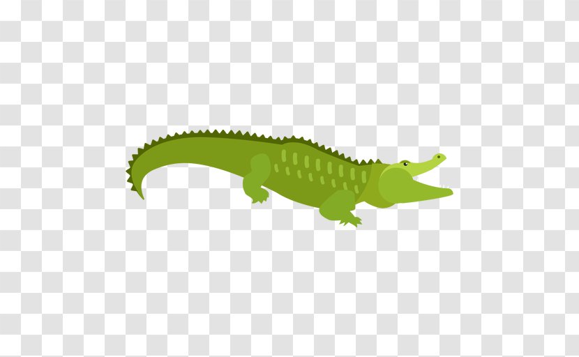 Alligator Cartoon - Saltwater Crocodile American Transparent PNG