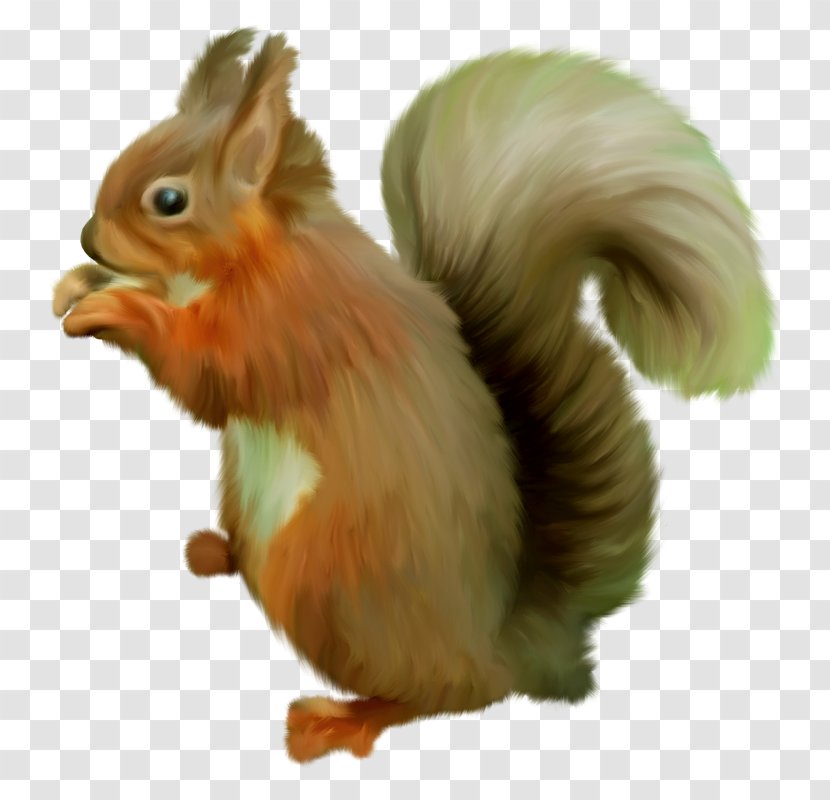 World Alphabets GIMP Squirrel - Mammal Transparent PNG