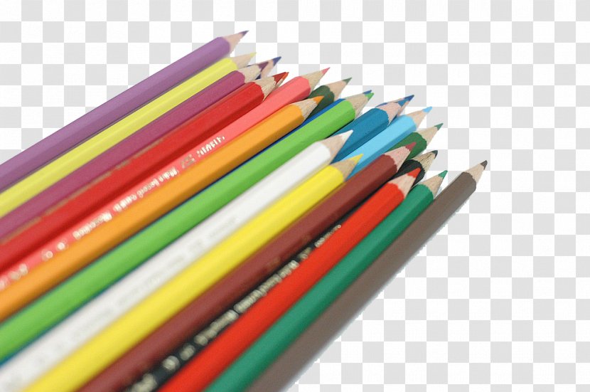 Pencil Office Supplies - Business - A Row Of Colored Pencils Transparent PNG