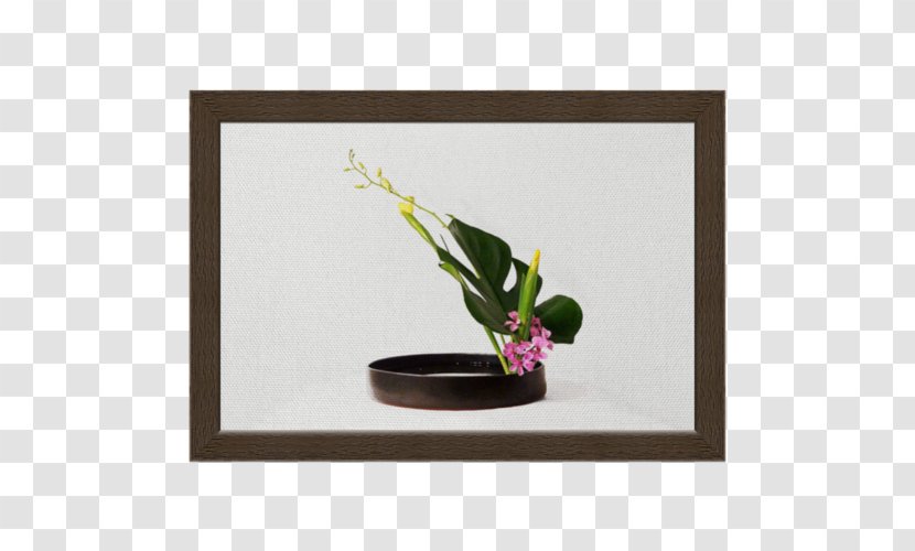 Floral Design Picture Frames Rectangle Transparent PNG