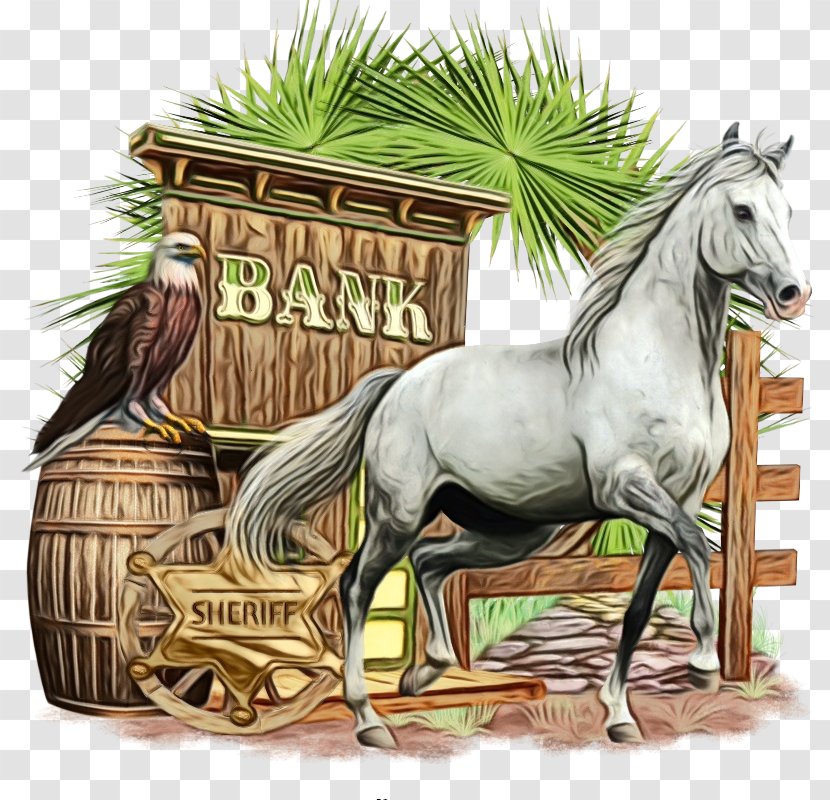 Horse Stallion Mare Mane Grass - Paint - Wildlife Plant Transparent PNG