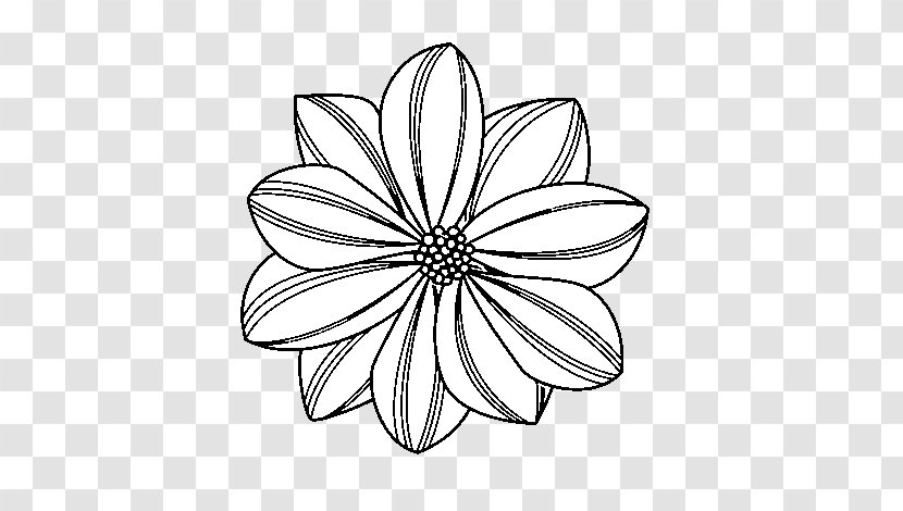 Drawing Clip Art Coloring Book Common Daisy Flower - Symmetry - Friends Pages Transparent PNG