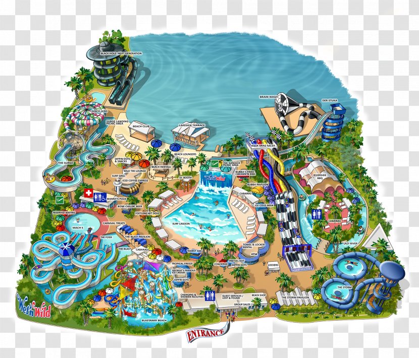 Wet 'n Wild Orlando Universal Studios Florida Volcano Bay Amusement Park Walt Disney World - Organism Transparent PNG
