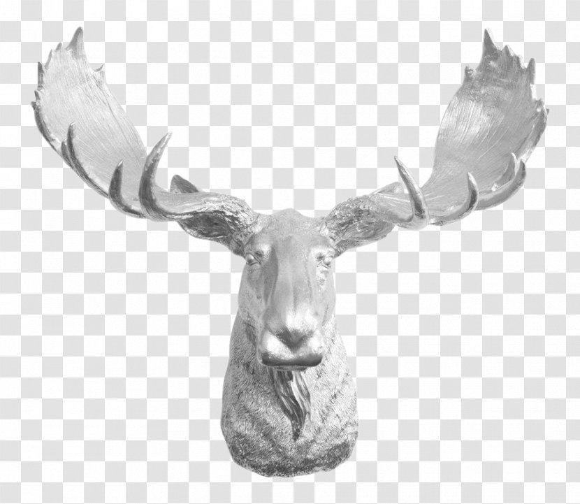Moose Reindeer Antler Elk - Trophy - Deer Transparent PNG