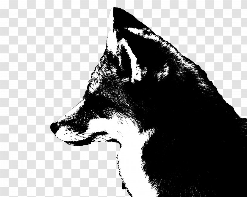 Whiskers Red Fox Dog Cat Snout - Monochrome Transparent PNG