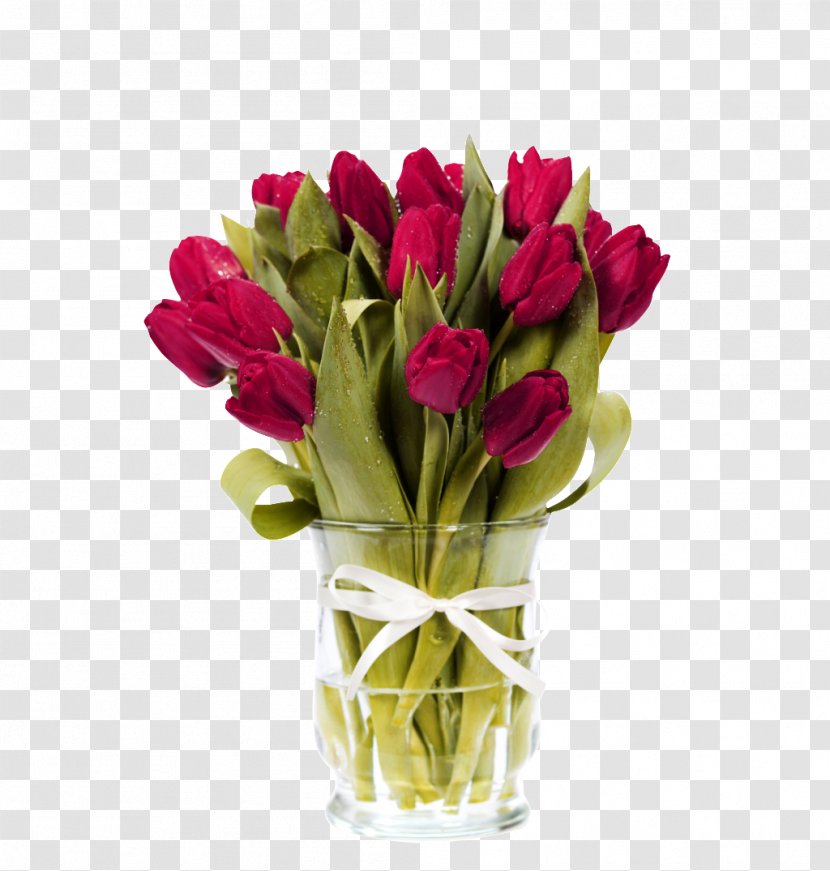 Indira Gandhi Memorial Tulip Garden Flower Bouquet Floristry - Centrepiece - Obsessed With Tulips Picture Material Transparent PNG