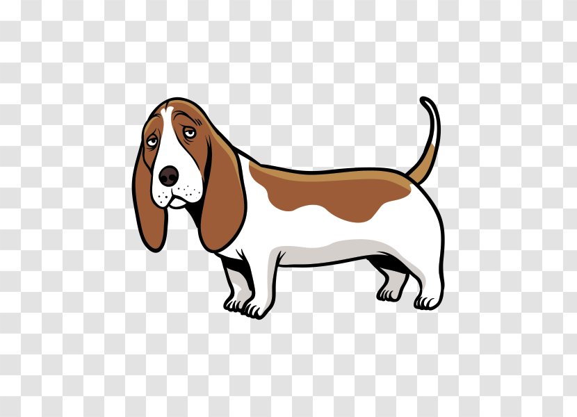 Beagle Basset Hound Harrier Puppy Dog Breed - Snout Transparent PNG