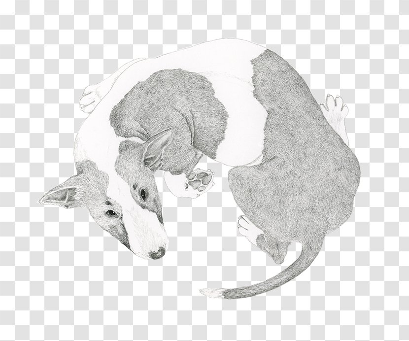 Dog Licking Cat Veterinarian Paw - Fur Transparent PNG