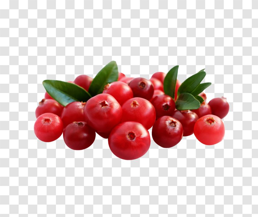 Lingonberry Cranberry Bilberry Rijk Zwaan Barbados Cherry - Corks Transparent PNG