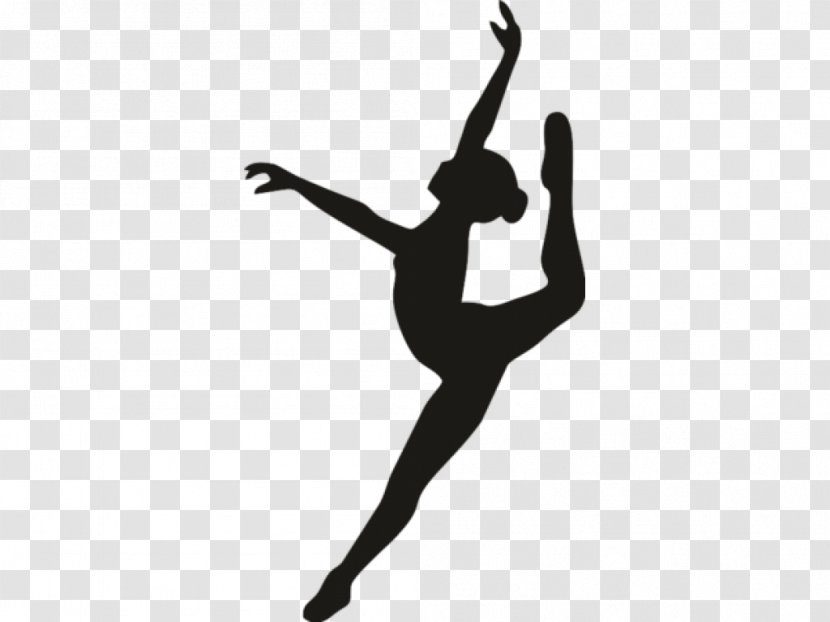 Studio 55 Dance Ballet Dancer Art - Heart Transparent PNG