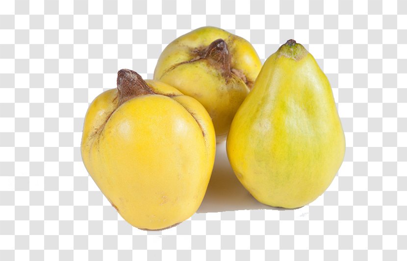 Fruit Tree Quince Pome Pear - Stockxchng - Papaya Bohm Transparent PNG