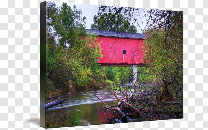 Water Resources Nature Reserve House Property Forest - River - Covered Bridge Transparent PNG