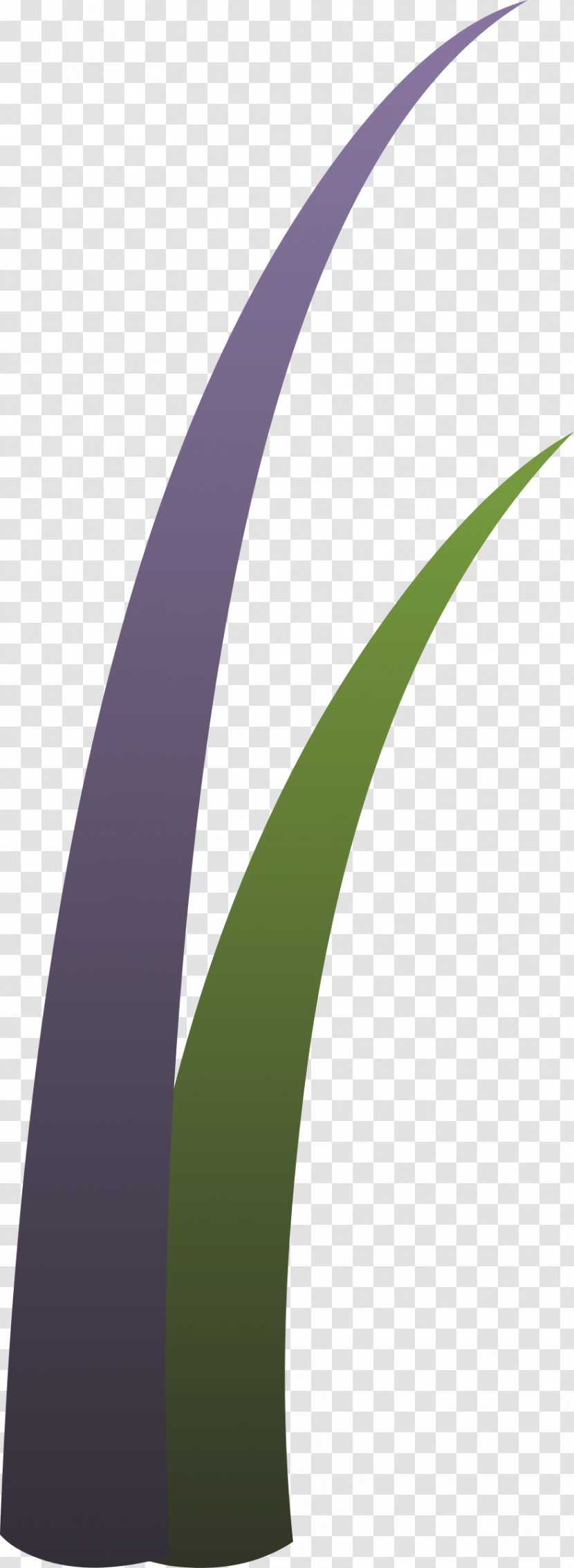 Clip Art - Plant - Grass Transparent PNG