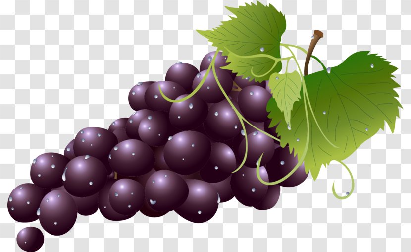 Grape Leaves Fruit Seedless Grapevine Family - Zante Currant Vitis Transparent PNG