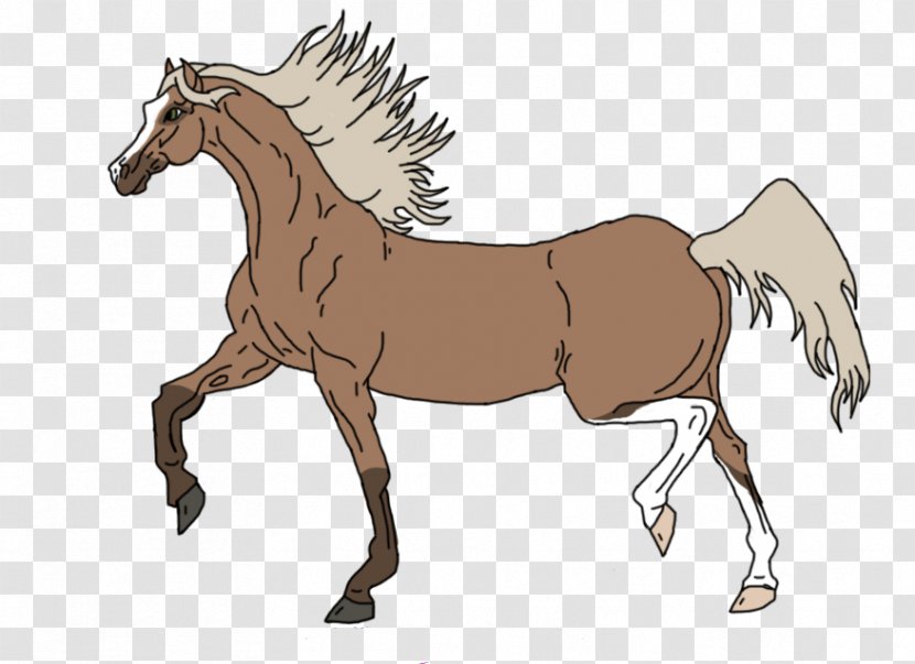 Foal Mane Mustang Stallion Colt - Vertebrate - Artist Horse Head Anatomy Transparent PNG