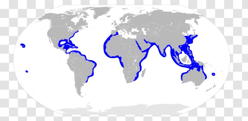 World Map Globe Geography - Logo - Big White Shark Transparent PNG